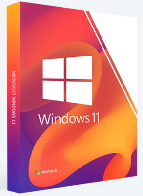 Windows 11