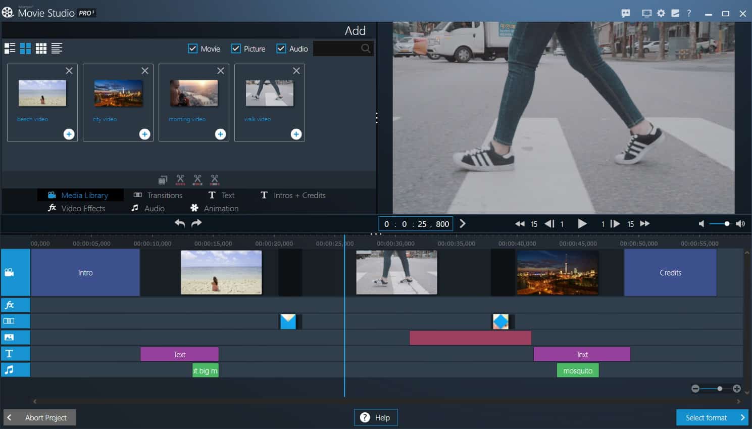 Ashampoo Movie Studio Pro v3.0.3 Download Full