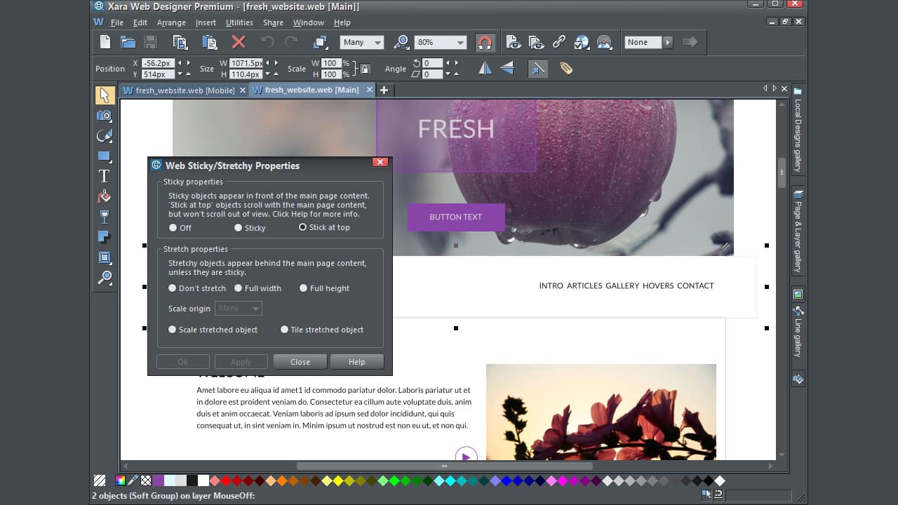 Xara Web Designer Premium 19.0.0.64291 Full