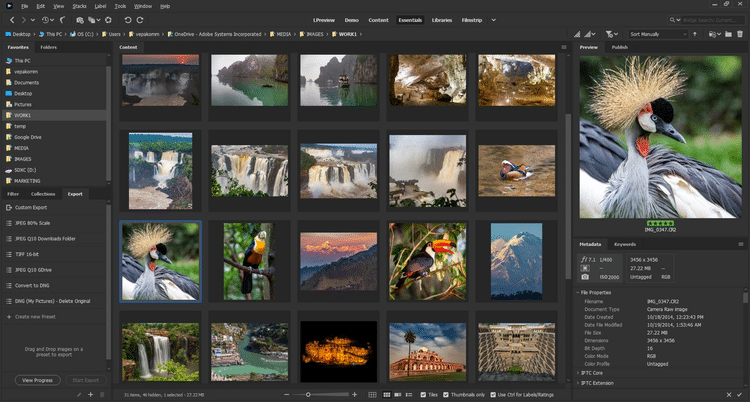 Adobe Bridge 2022 v12.0.2.252 Full