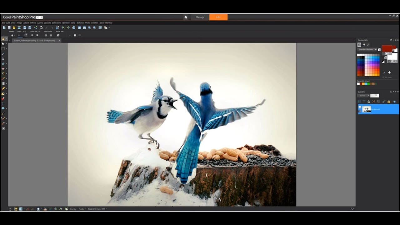 Corel PaintShop Pro Ultimate 2023 v25.1.0.32 Full