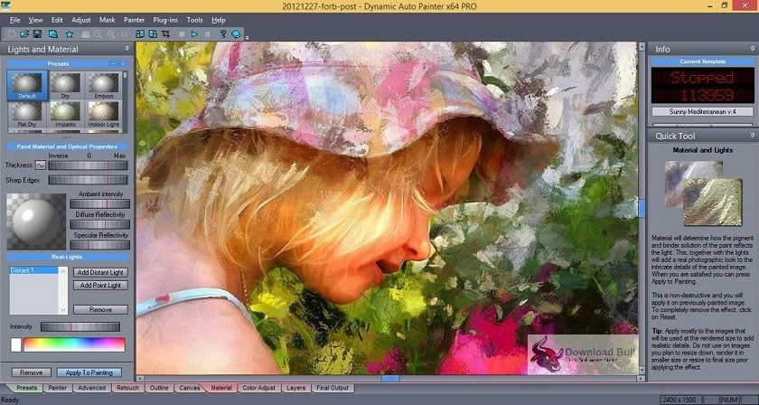 MediaChance Dynamic Auto Painter Pro 7.0.2 Full