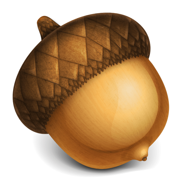 Acorn