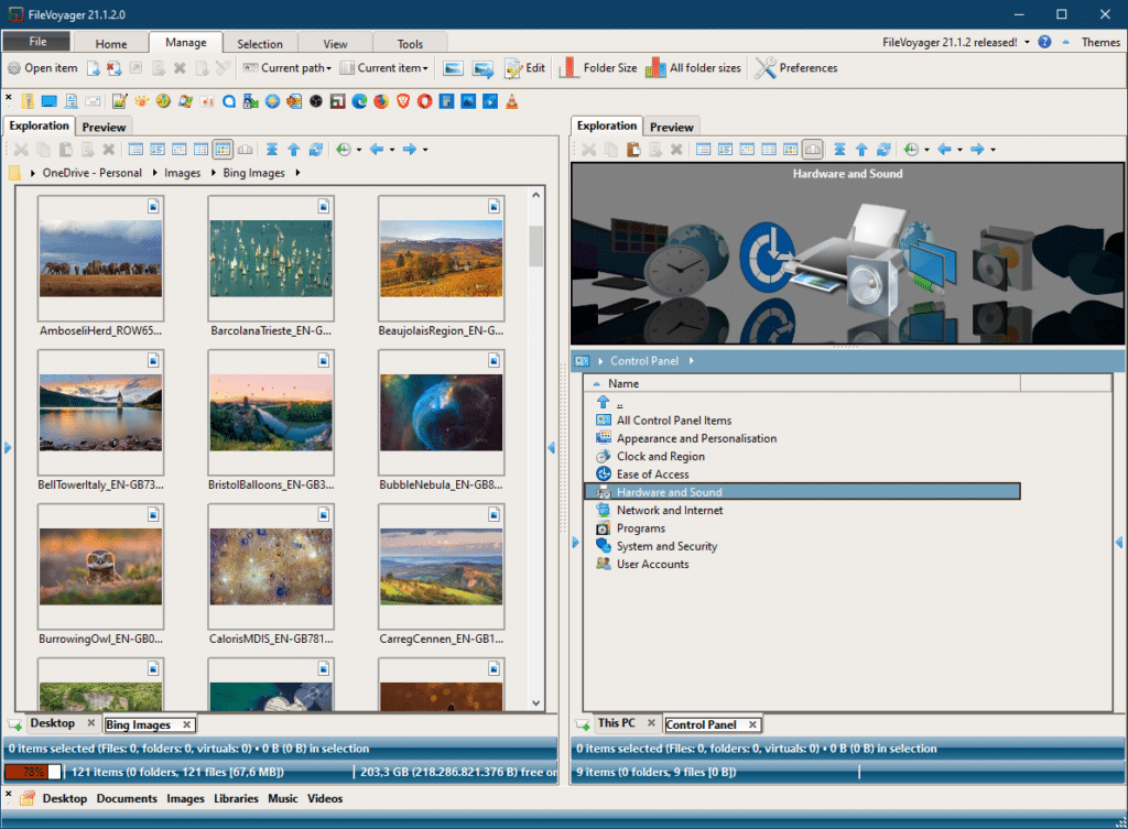 FileVoyager 23.5.7 Free Download