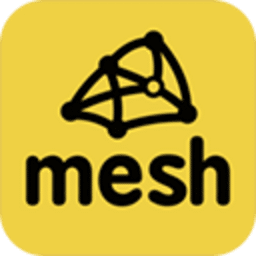 FinalMesh Professional